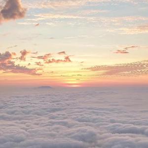 王者女脱👙免费看尿口
