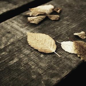 王者女脱👙免费看尿口
